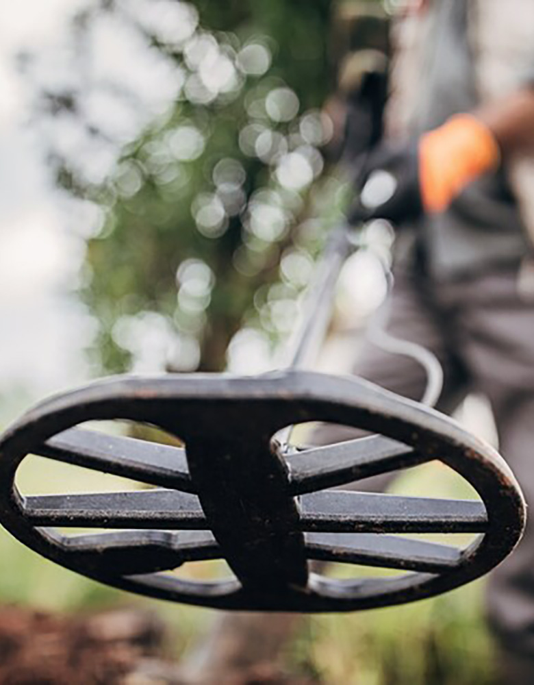 Detecting2 780×1000